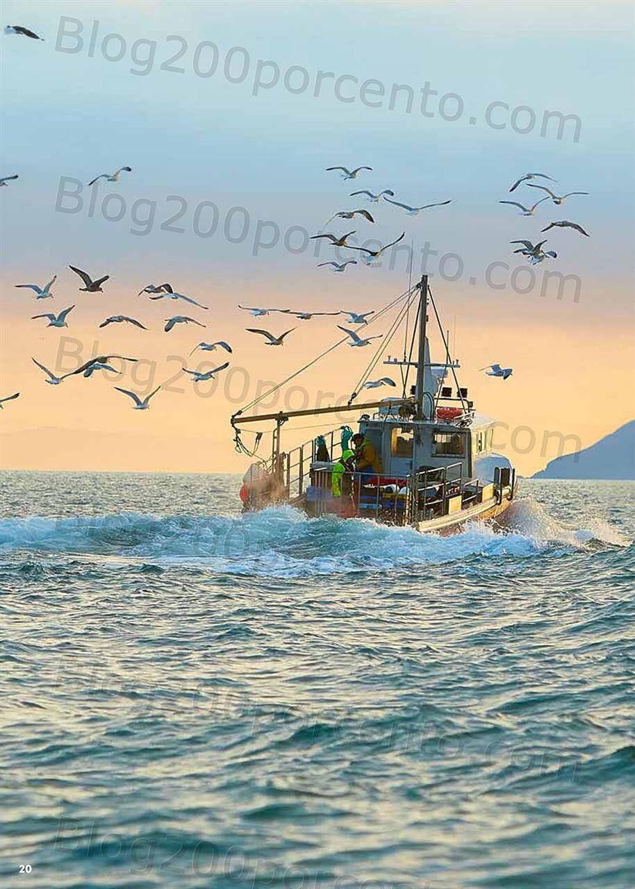 Novos no LIDL 7 junho