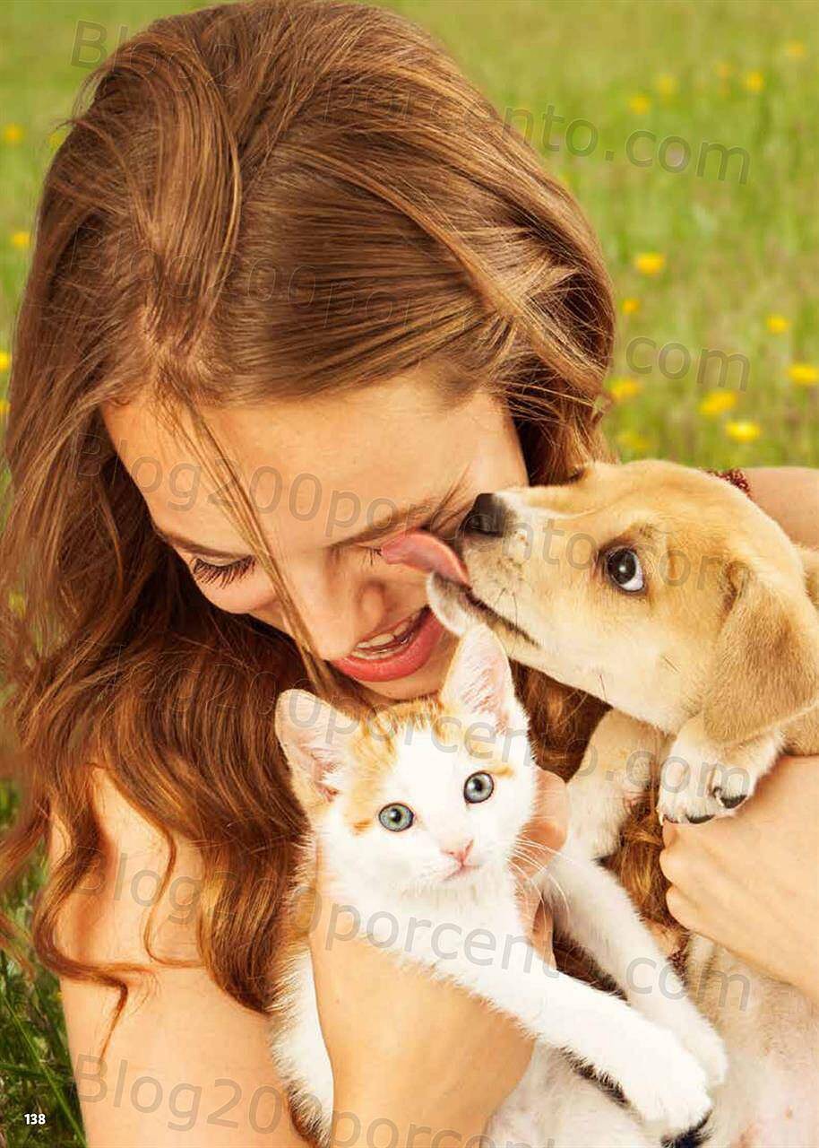 Novos no LIDL 7 junho