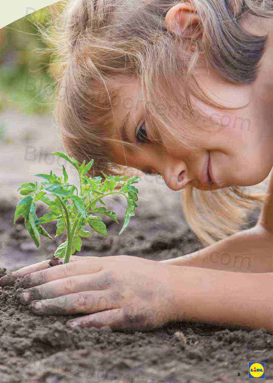 Antevisão Folheto LIDL Especial BIO Promoções de 30 março a 19 abril