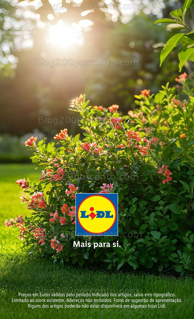 Antevisão Folheto LIDL Especial Jardim Promoções a partir de 7 abril