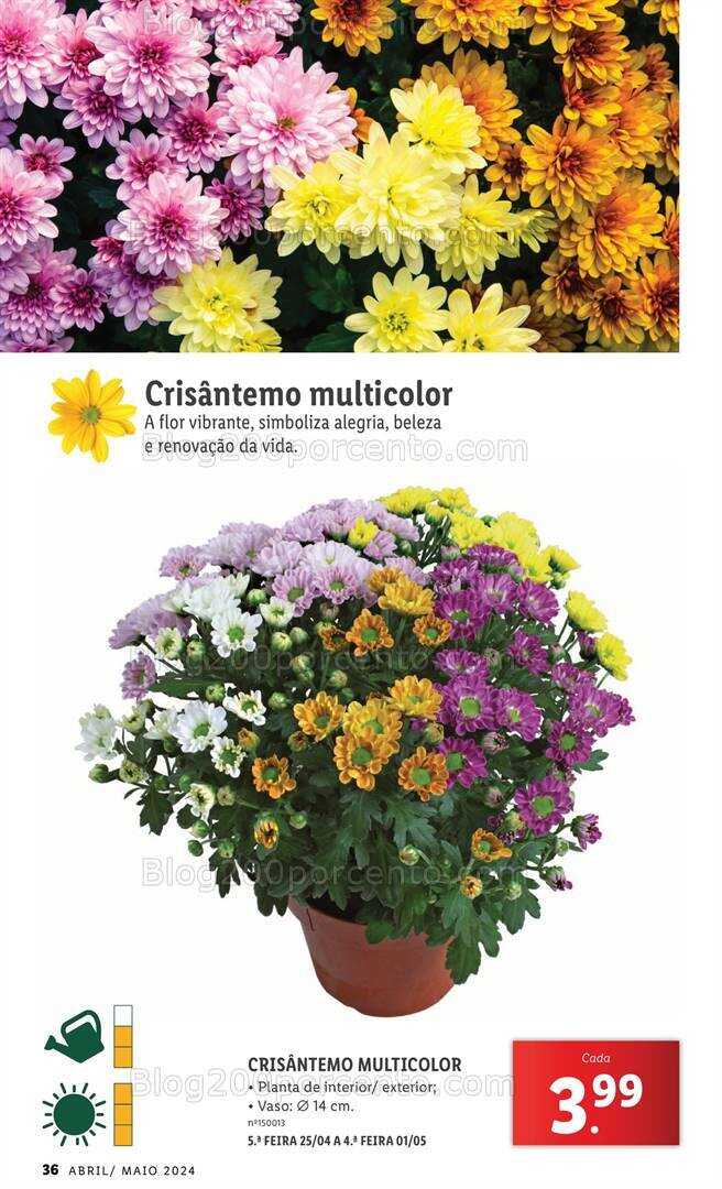 Antevisão Folheto LIDL Jardim Promoções a partir de 1 abril