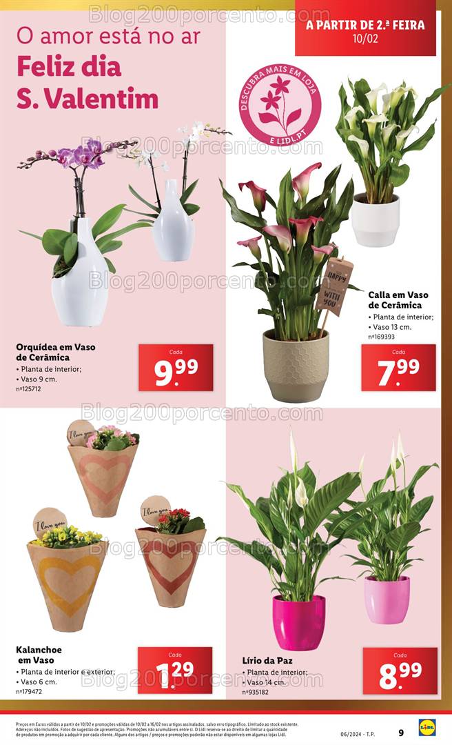 Antevisão Folheto LIDL Bazar Promoções de 6 a 16 fevereiro