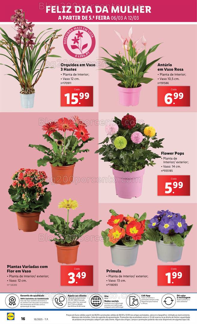 Antevisão Folheto LIDL Especial Dia da Mulher Promoções de 7 a 9 março