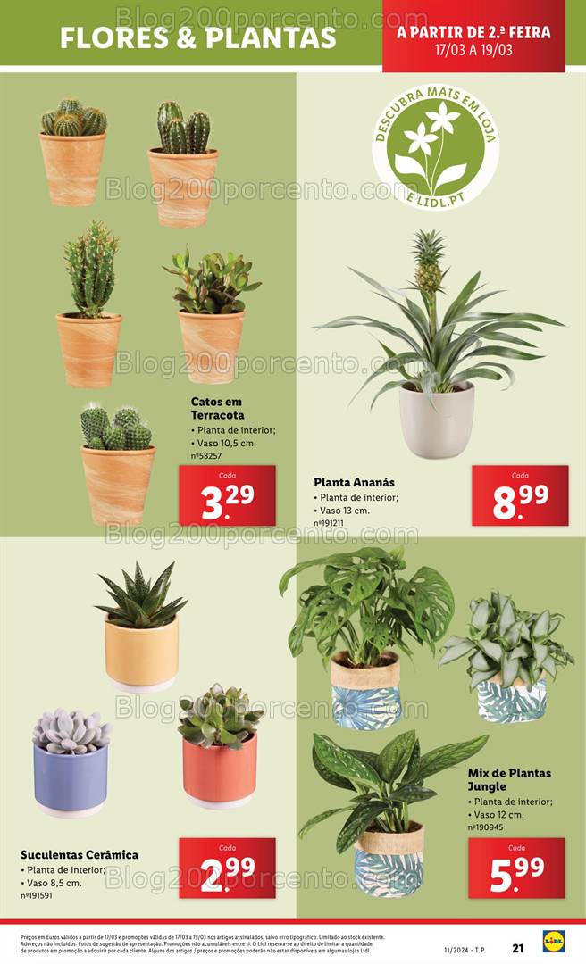 Antevisão Folheto LIDL Mercado de Plantas Promoções de 13 a 19 março