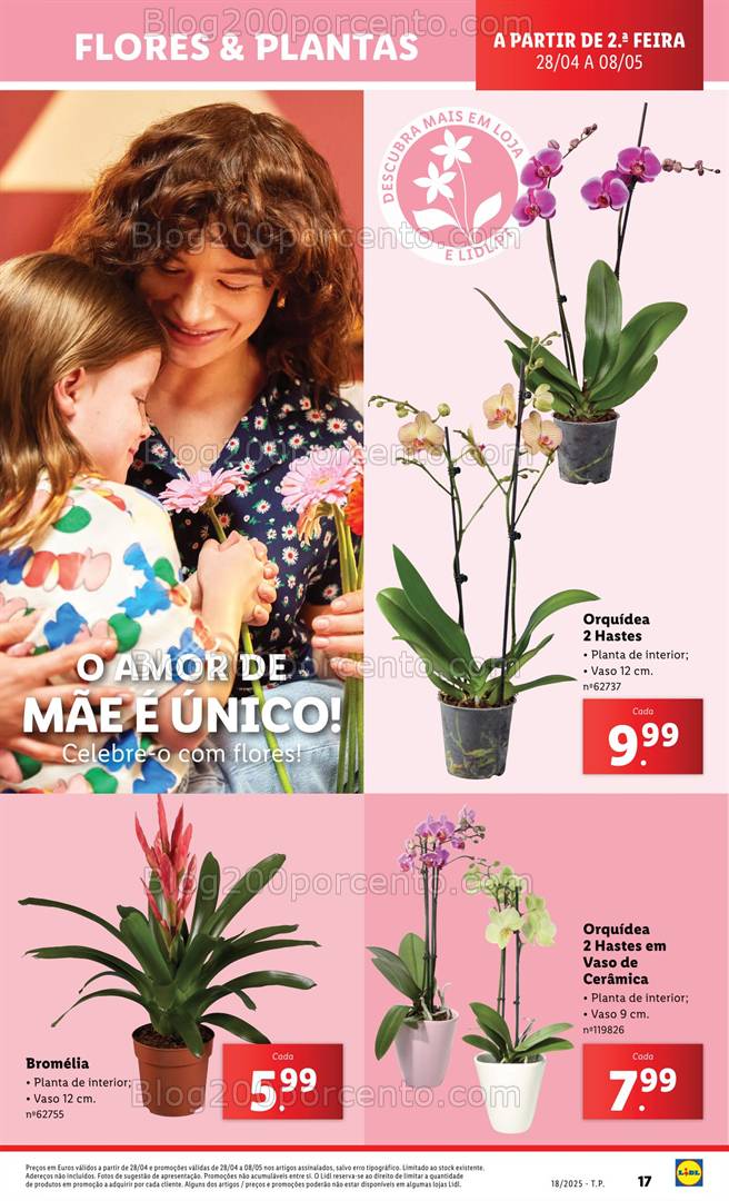 Antevisão Folheto LIDL Especial Dia da Mãe Promoções de 28 abril a 8 maio