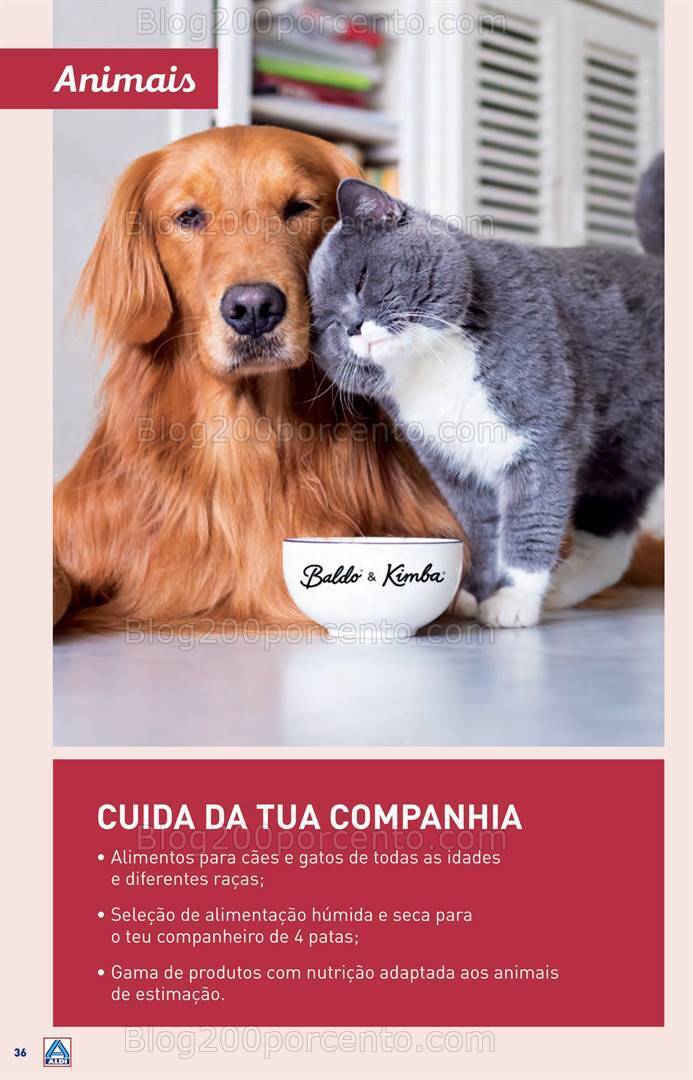 Antevisão Folheto ALDI Aberturas - Paredes Promoções de 13 a 19 dezembro