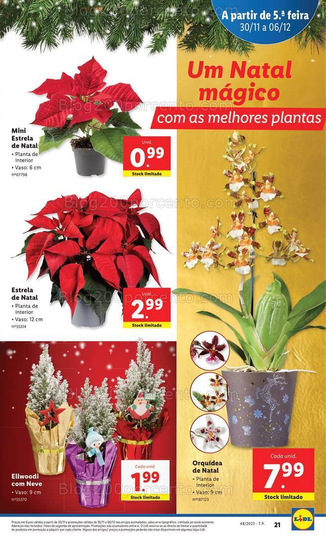 Antevisão Folheto LIDL Promoções de 30 novembro a 6 dezembro