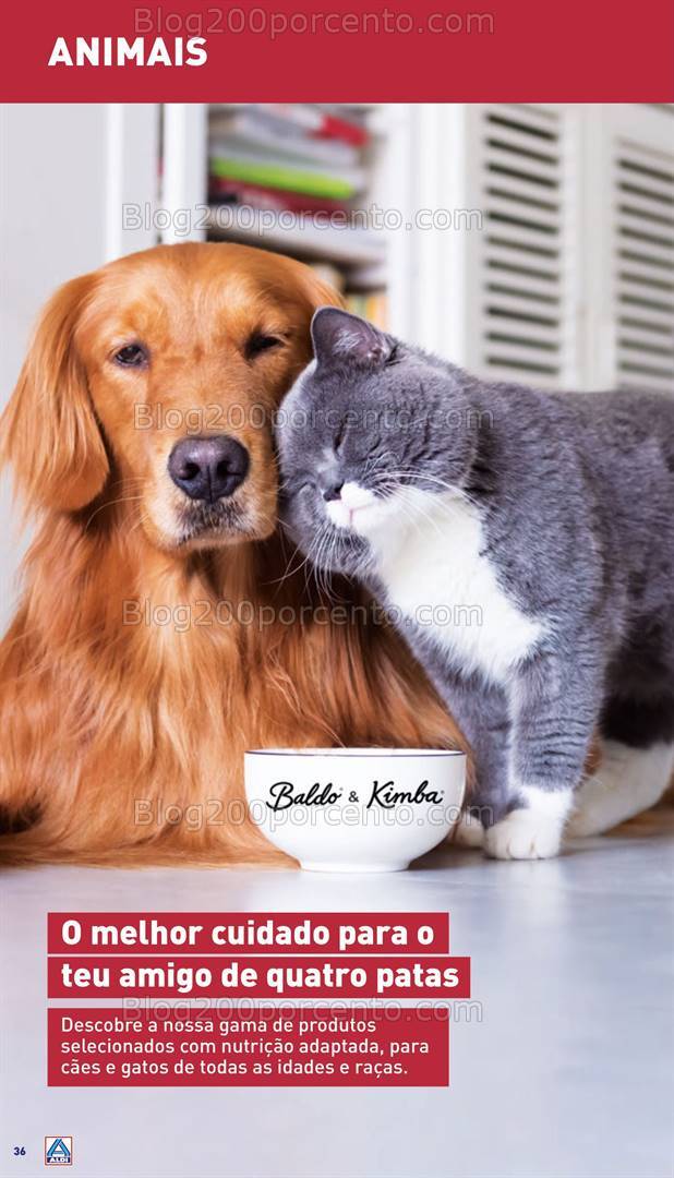 Antevisão Folheto ALDI Abertura + Saldos Bazar Promoções 14 a 20 agosto