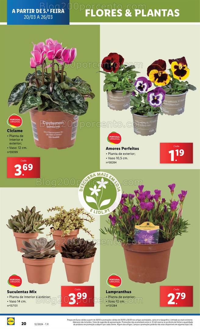 Antevisão Folheto LIDL Mercado de Plantas Promoções de 20 a 26 março