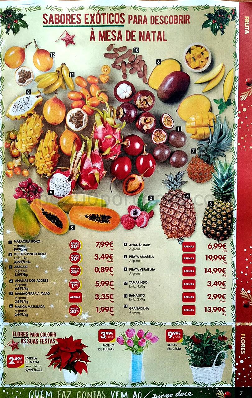 22 a 28 dezembro pingo doce