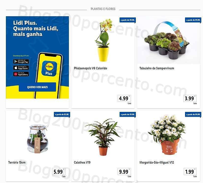 01 Promoções-Descontos-44560.jpg