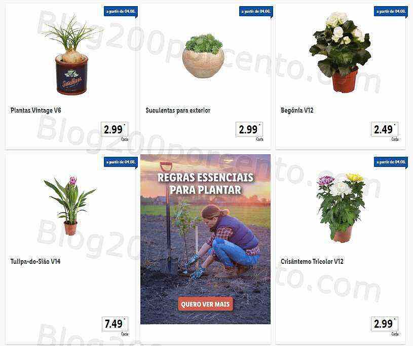 01 Promoções-Descontos-44561.jpg