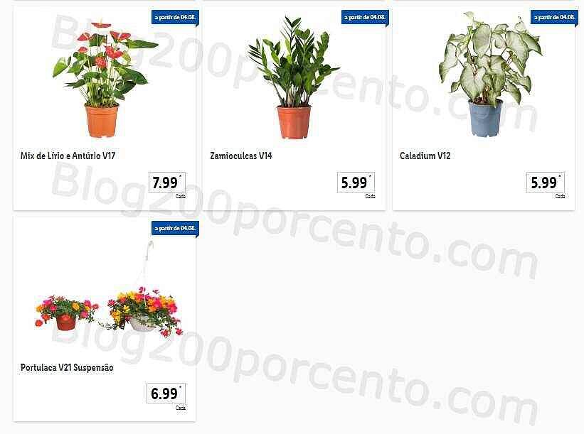 01 Promoções-Descontos-44562.jpg