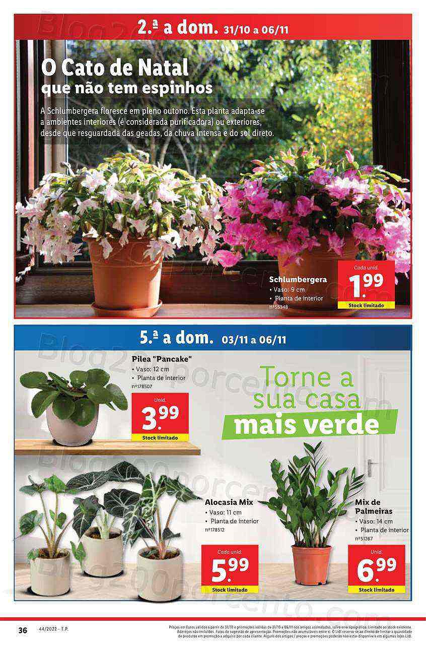 Antevisão Folheto LIDL Promoções de 31 outubro a 6 novembro - Edição Digital