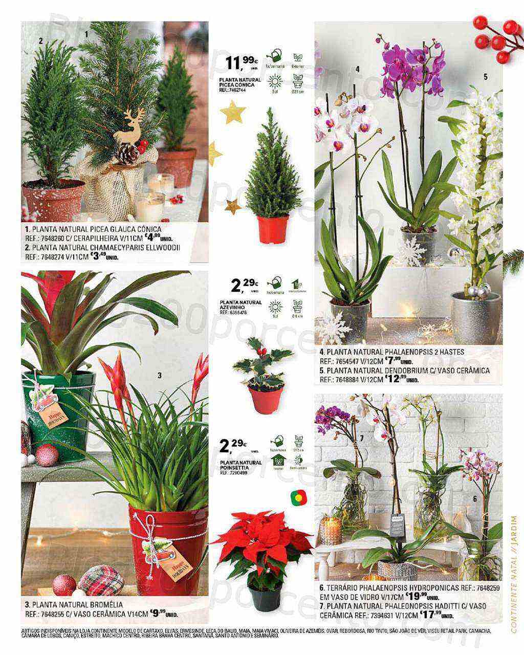 Antevisão Folheto CONTINENTE Natal Madeira Promoções de 10 novembro a 24 dezembro