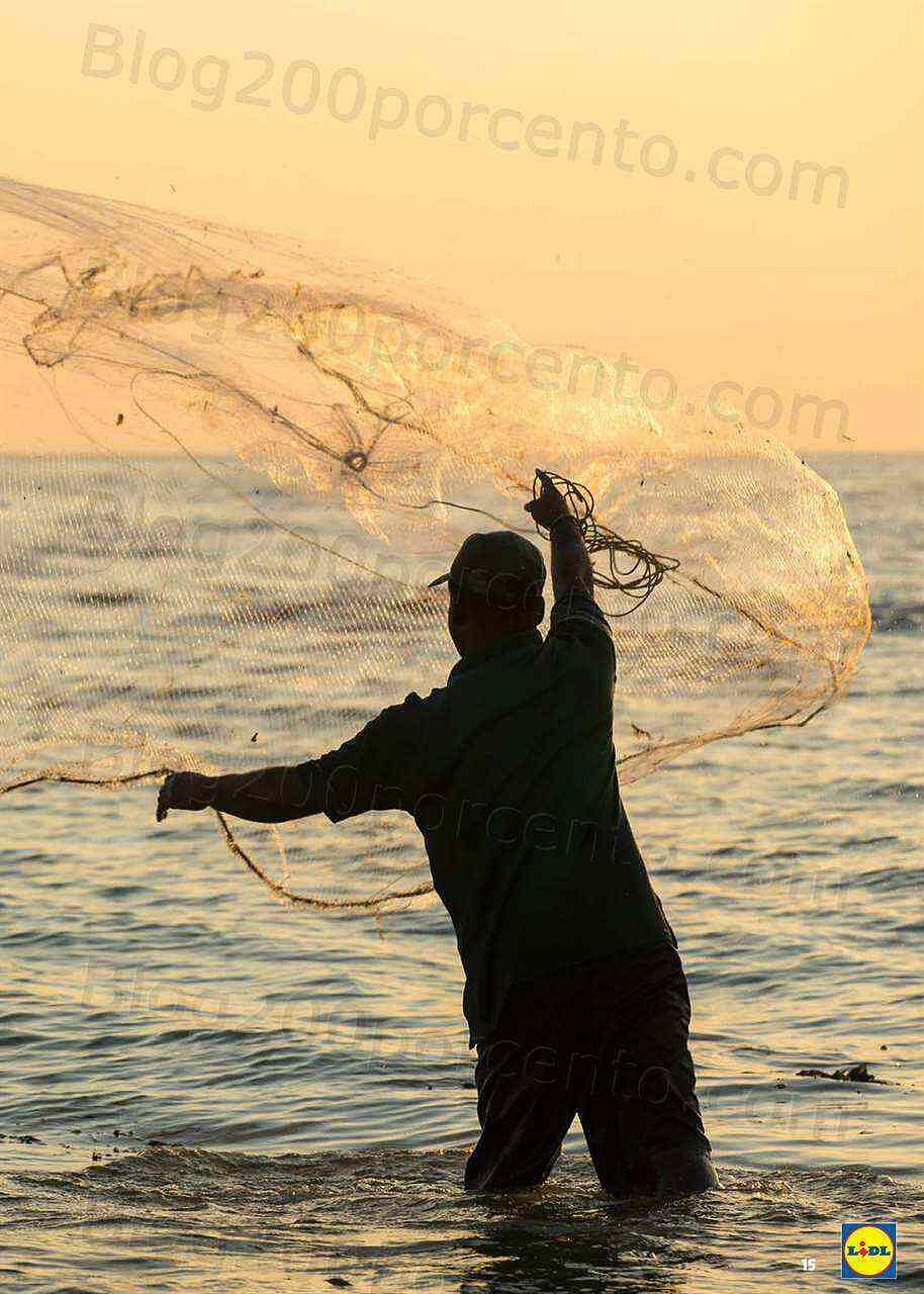Antevisão Folheto LIDL Novidades Promoções a partir de 30 maio
