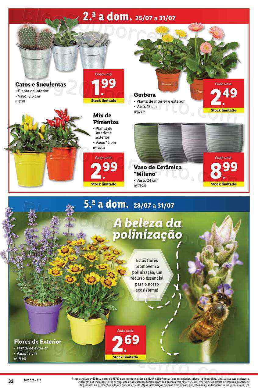 Antevisão Folheto LIDL Promoções de 25 a 31 julho digital