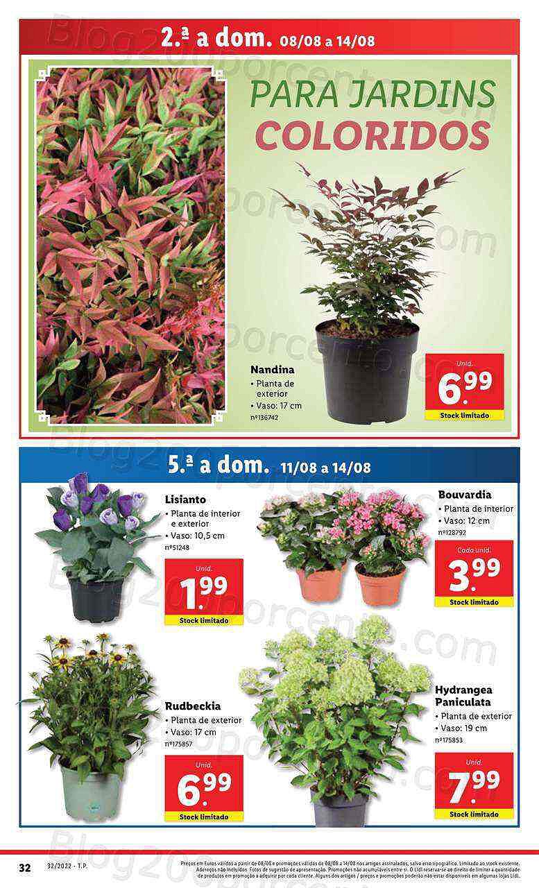 Antevisão Folheto LIDL Promoções de 8 agosto a 14 agosot