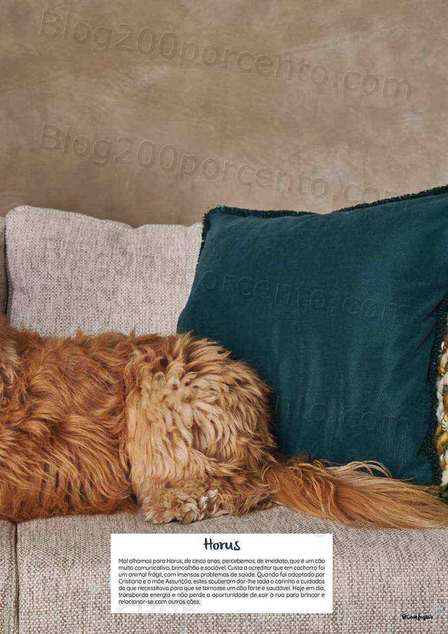 Antevisão Folheto EL CORTE INGLÉS Especial Pets Promoções de 6 a 20 janeiro