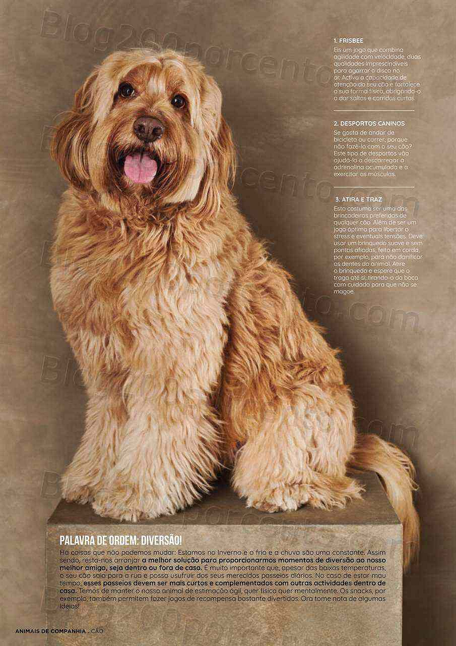 Antevisão Folheto EL CORTE INGLÉS Especial Pets Promoções de 6 a 20 janeiro