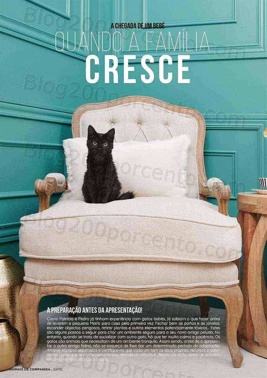 Antevisão Folheto EL CORTE INGLÉS Especial Pets Promoções de 6 a 20 janeiro