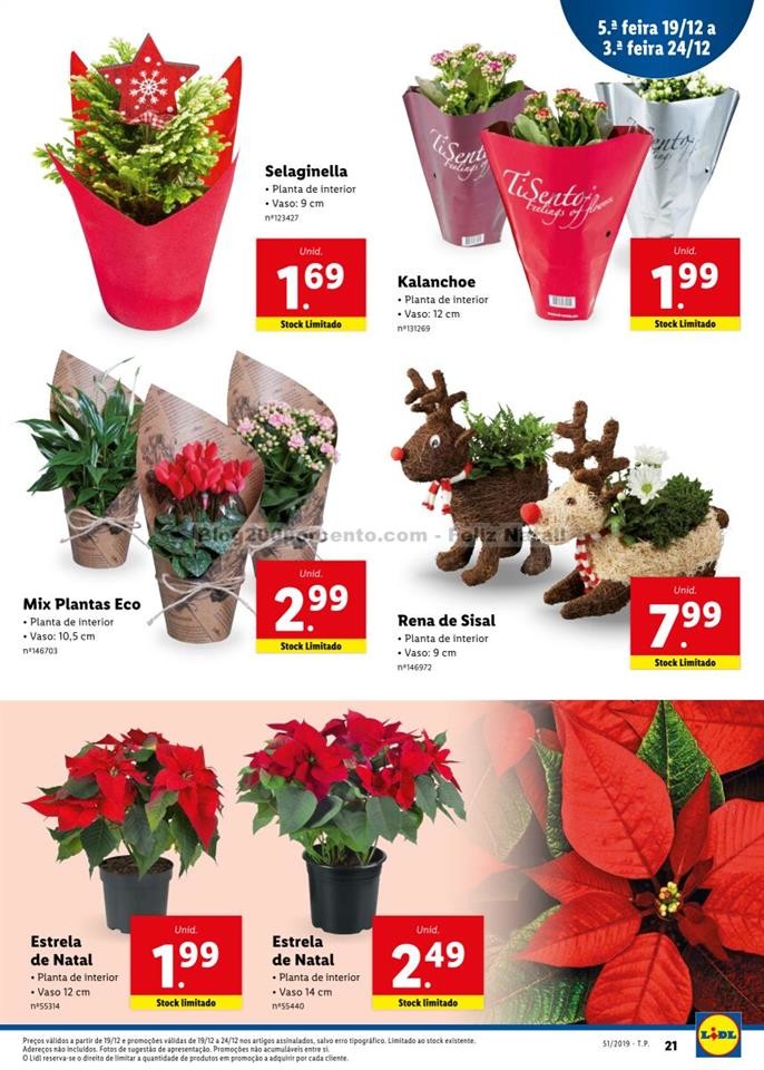 01 lidl a partir de 16 dezembro p21.jpg