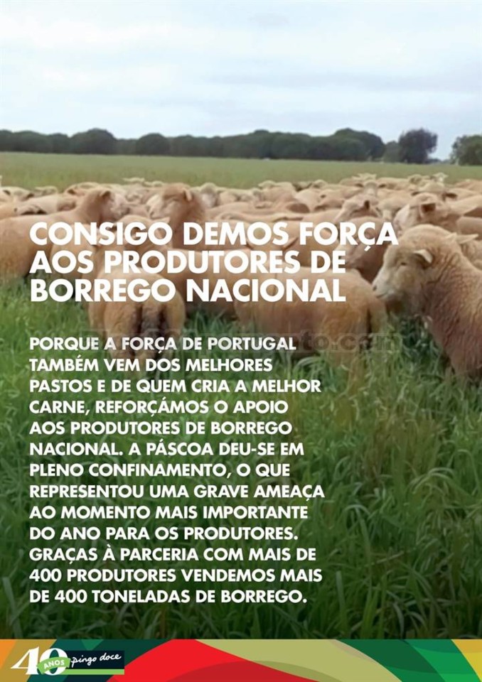 Antevisão Folheto PINGO DOCE Produção Nacional 
