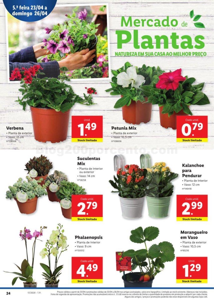 Antevisão Folheto LIDL Promoções de 20 a 26 abr
