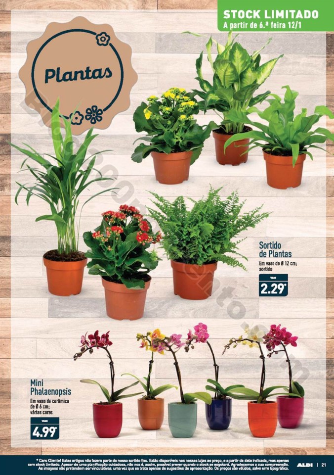 Antevisão Folheto ALDI Promoções a partir de 10