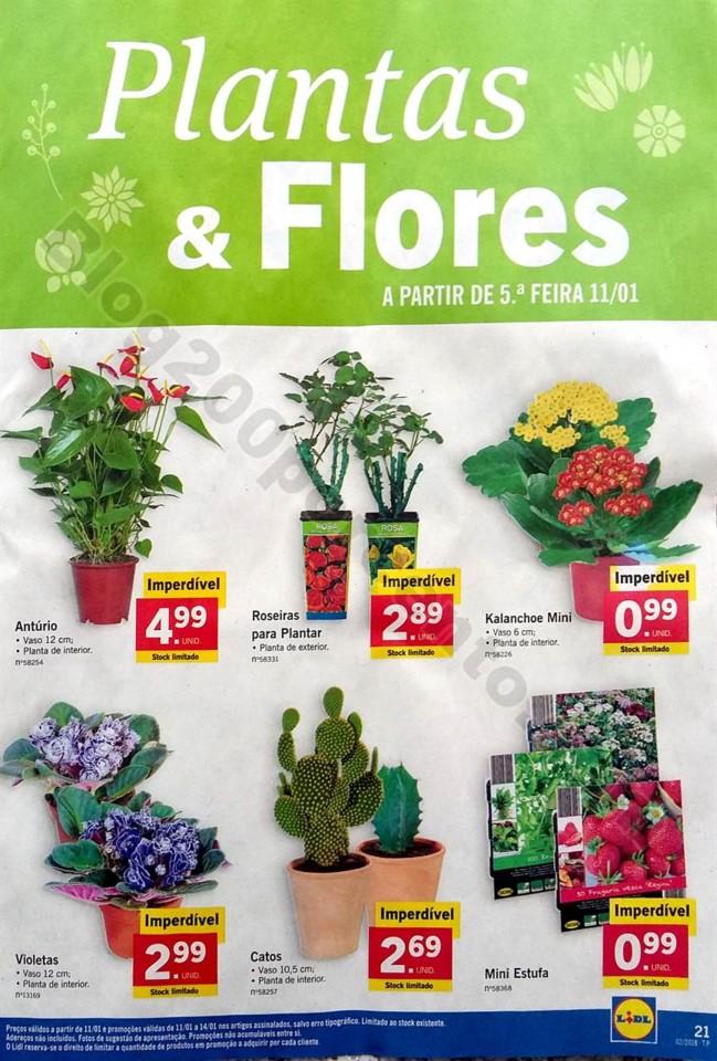 lidl 8 a 14 janeiro_21.jpg