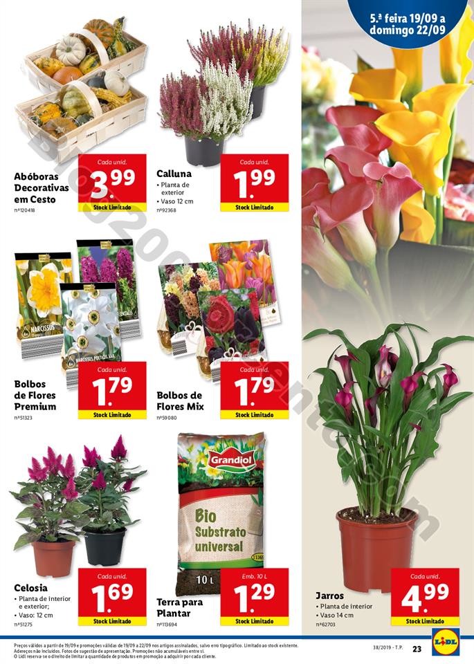 Antevisão Folheto LIDL 16 a 22 setembro_022.jpg