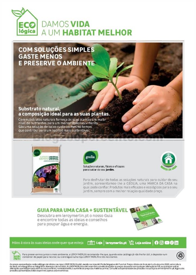 leroy jardim 2020_099.jpg