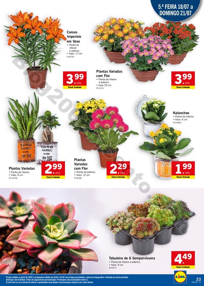 Antevisão Folheto lidl 15 a 21 julho_022.jpg