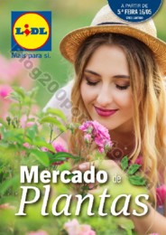 mercado plantas 16 maio_000.jpg