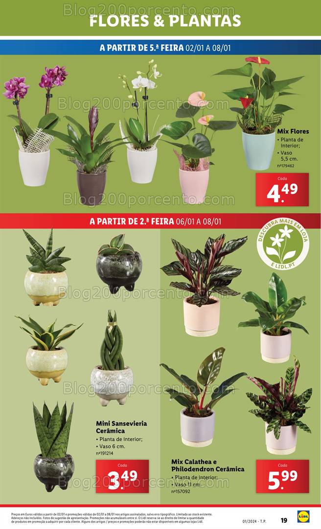 Antevisão Folheto LIDL Mercado de Plantas Promoções de 2 a 8 janeiro